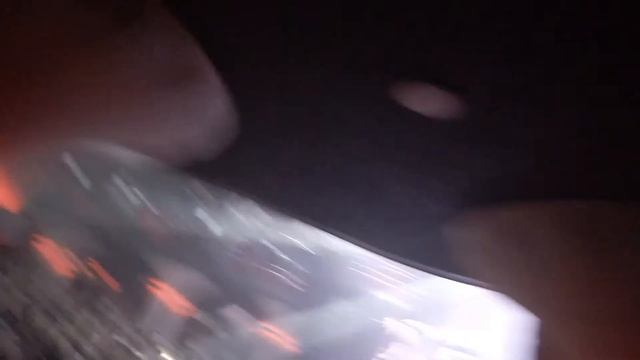 Тараканы! -  Я не верюКиров-Gaudi