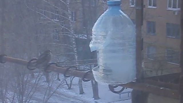 Моя кормушка 5 смотреть онлайн