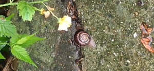 буду задавать вопросы на комментарии