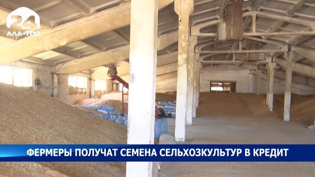 Фермеры получат семена сельхозкультур в кредит
