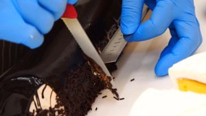店内に可愛いお菓子が溢れるケーキ屋さんのお菓子作り Japanese Cake | Изготовление японского торта в кондитерской