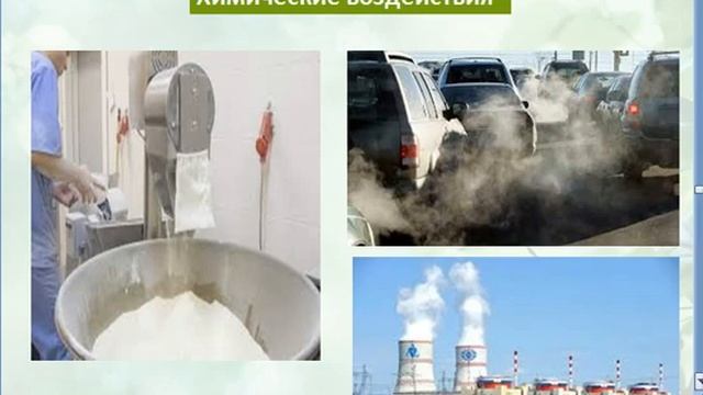 Лекция № 8. Тема: Основы экологической экспертизы товаров