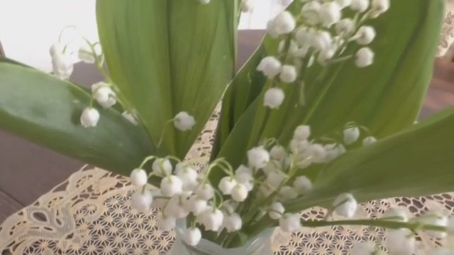 Деревенская жизнь... весенние хлопоты!!! Результат проделанной работы!!! ТИХИЙ ВЕСЕННИЙ ВЕЧЕР!!! смотреть онлайн