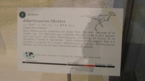 Dinosaur. American Museum of Natural History. Американский музей естественной истории