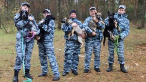 В Центре кинологической службы УМВД России по Тверской области новое пополнение