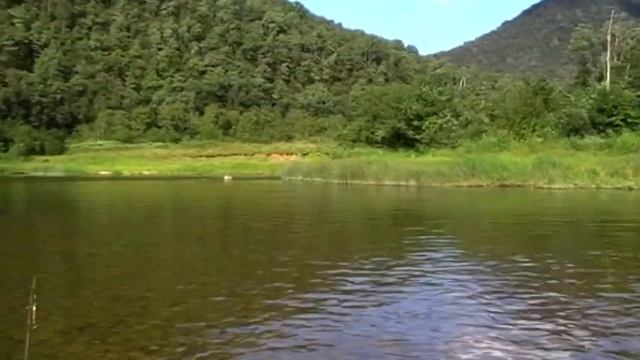 Плывём! Зилим! смотреть онлайн