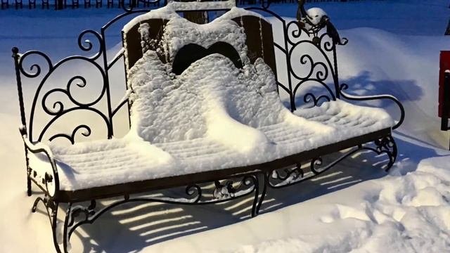 Аллея Октябрьского проспекта. После метели - город Киров.