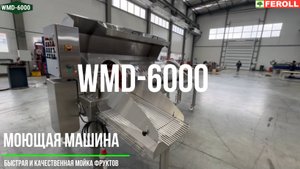 Моющая машина для фруктов и овощей WMD-6000 от компании Feroll