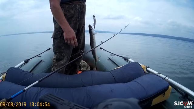 ЩУКА НА ТРОЛИНГ первый опыт смотреть онлайн