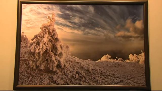 Фотографии Полозкова смотреть онлайн