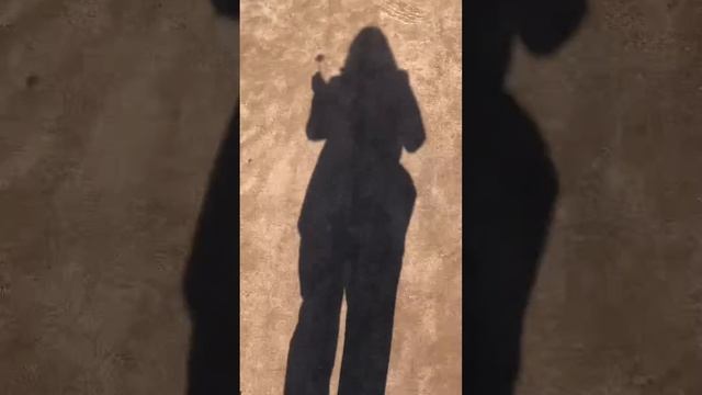 Пошли ВСЕМ классом в МУЗЕЙ МОЗГА/отмечаем окончание учебного года/ПРОЩАЙ,6 КЛАСС смотреть онлайн