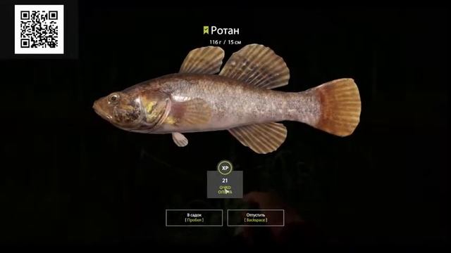 СТРИМЧИК.  Русская рыбалка 4. Дачный пруд смотреть онлайн