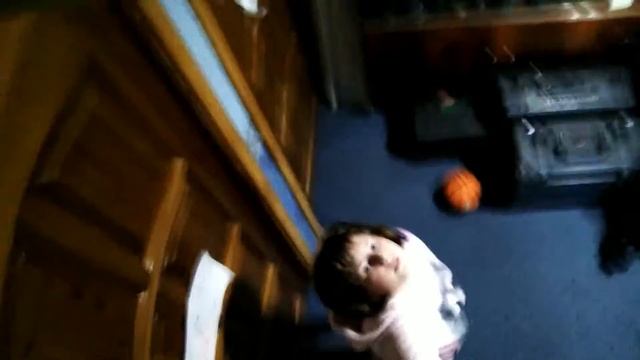 Новая сэлфи палка смотреть онлайн