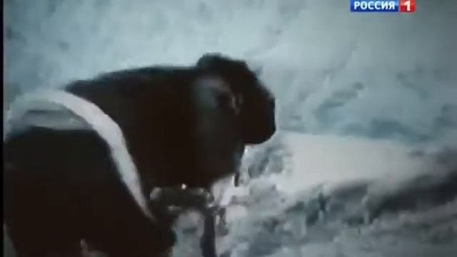 КАФАН 1987год