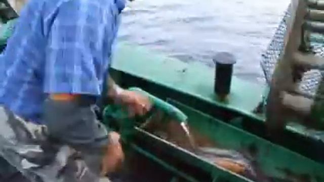 Морские будни часть 1