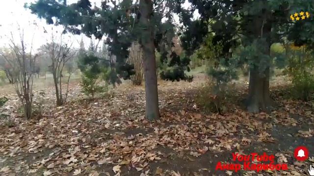 Payiz.Осень смотреть онлайн