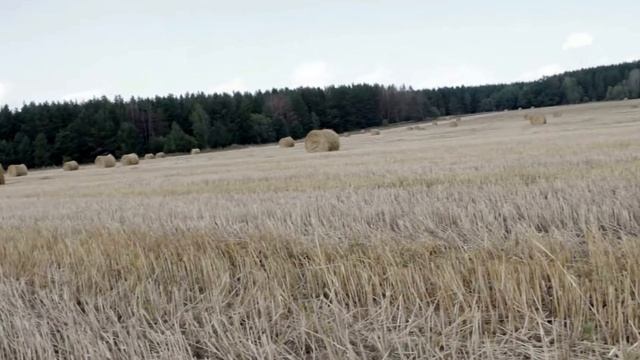 На поле Елабуга смотреть онлайн