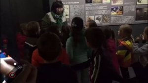 Экскурсия в Арахноландию