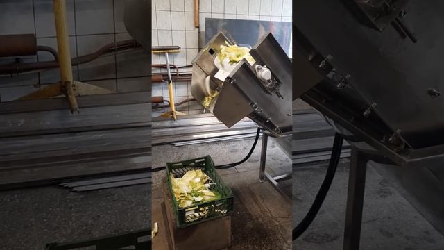 Машина Мойки Овощей, Клубней ММО-1000