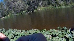 4 43 минуте промах щуки .ловил ниже пляжа