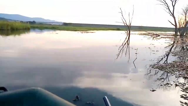 Вечерочка с сыном на утку смотреть онлайн