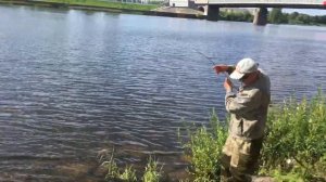 Ловим утку на спиннинг. Спиннинг в городе 2019