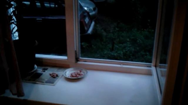 Красноярск Алиса :-) смотреть онлайн