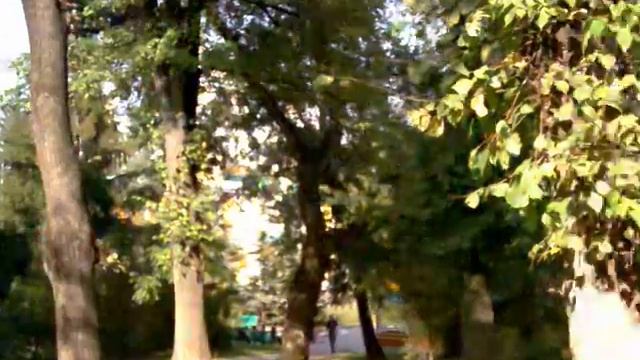 Земли Парка 28 Панфиловцев Алматы незаконно продаются. смотреть онлайн