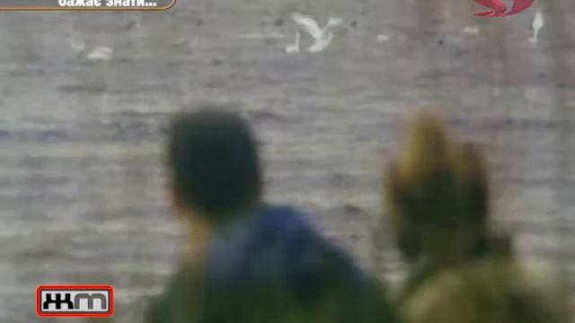 "Кожен мисливець бажає знати..." смотреть онлайн