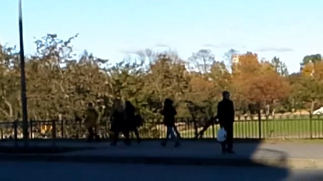 Асфальт для Марки машин