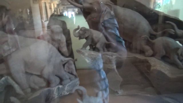 Музей в Тайланде (Часть 6) смотреть онлайн