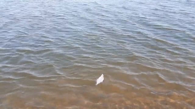 Батл FISHDREAM -  И ПРОСТО РЫБАЛКА на муромском вх смотреть онлайн