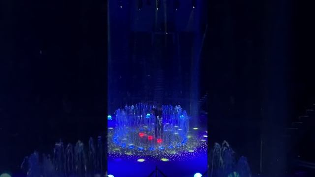 Шоу Воды, огня и света. Проект Анатолия Сокола. Сочинский цирк смотреть онлайн