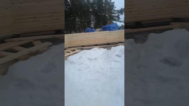 домострой Алтайский тёплый дом