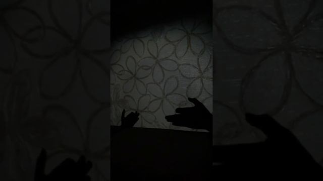 Театр Теней. Бабушка собака и внук щенок. смотреть онлайн