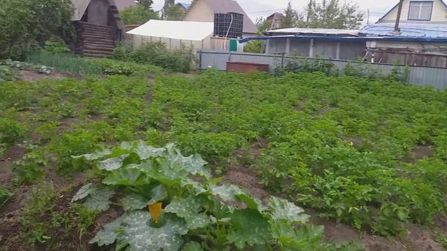 Дедушка и диеты 4 смотреть онлайн