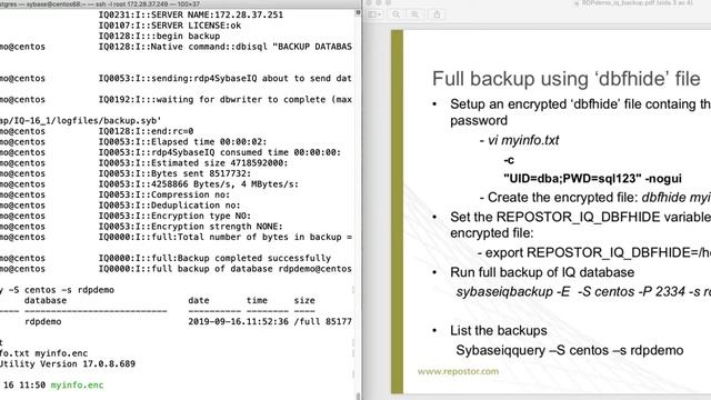 RDP Demo IQ Backup смотреть онлайн