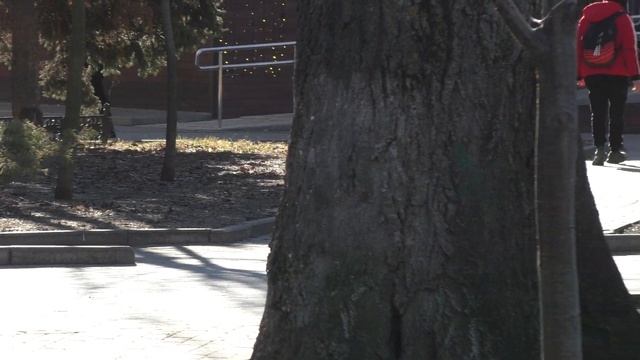 Клевый музон смотреть онлайн