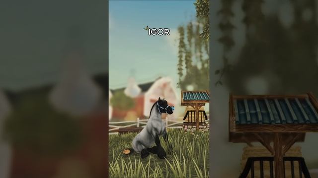 Какая ваша любимая масть? смотреть онлайн