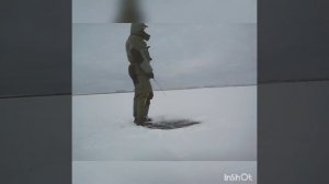 Ловля окуня на блесну со льда.
