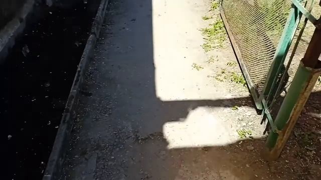 Посадила цветы! Как светят фонарики!!! 28.04.22 смотреть онлайн