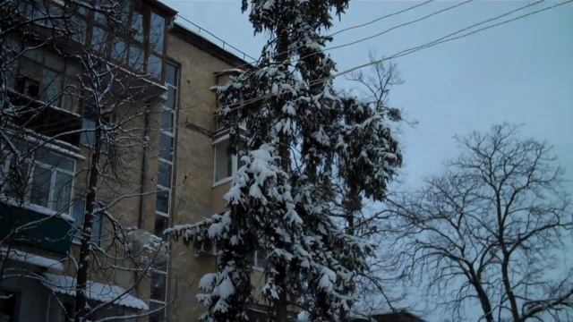 "Зоологическая экскурсия на полюс" смотреть онлайн