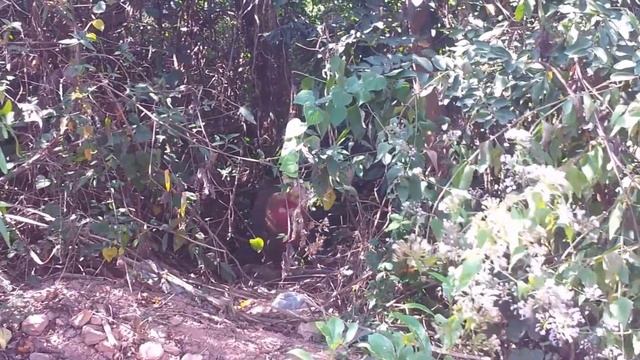 Китай, Хайнань,  2014, 2015 смотреть онлайн