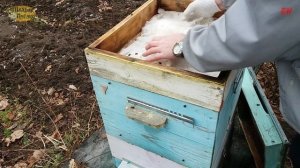 пчеловодство. контроль зимовки канди повторная дача канди