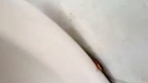 ТАРАКАНЫ В ШКОЛЕ🥵😱🤢