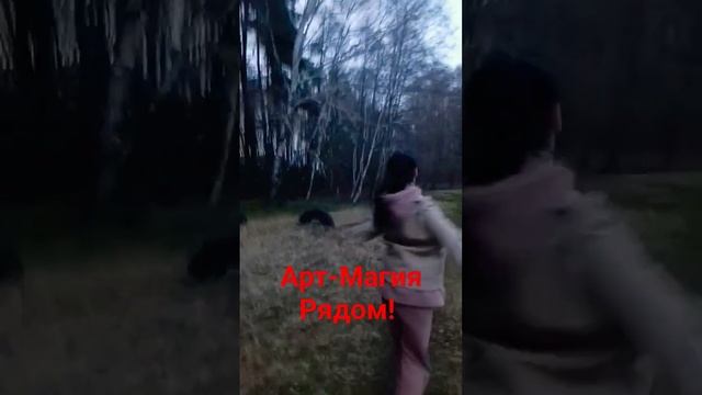 Счастье рядом!     #пригласитьцыган #шоупрограмма