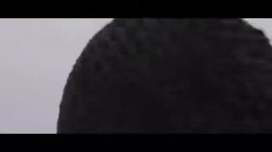 Ленинград-Обезьяна иОрёл