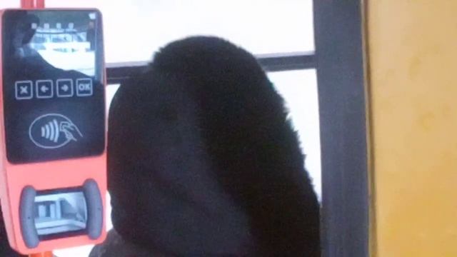 Как происходит запуск валидатора Электронного билета в работу после отключения питания отрадный смотреть онлайн