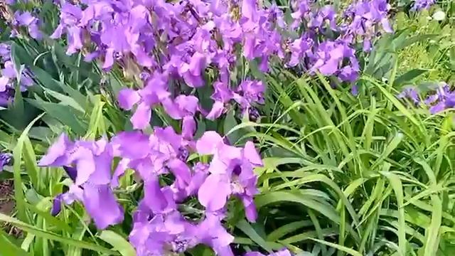 вкусная прогулка по городу Ишимбай подготовка к празднику