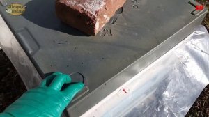 пчеловодство, УЛЕЙ МЕДВЕДЬ ППУ, что стало с ульями медведь спустя две недели